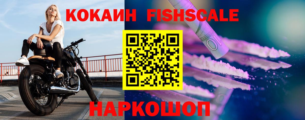 Cocaine 99%  купить наркотики цена  Заводоуковск  Cocaine FishScale  Вход с VPN 