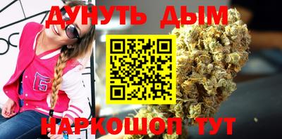 сатива Краснодар