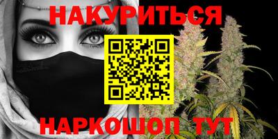 сатива Краснодар