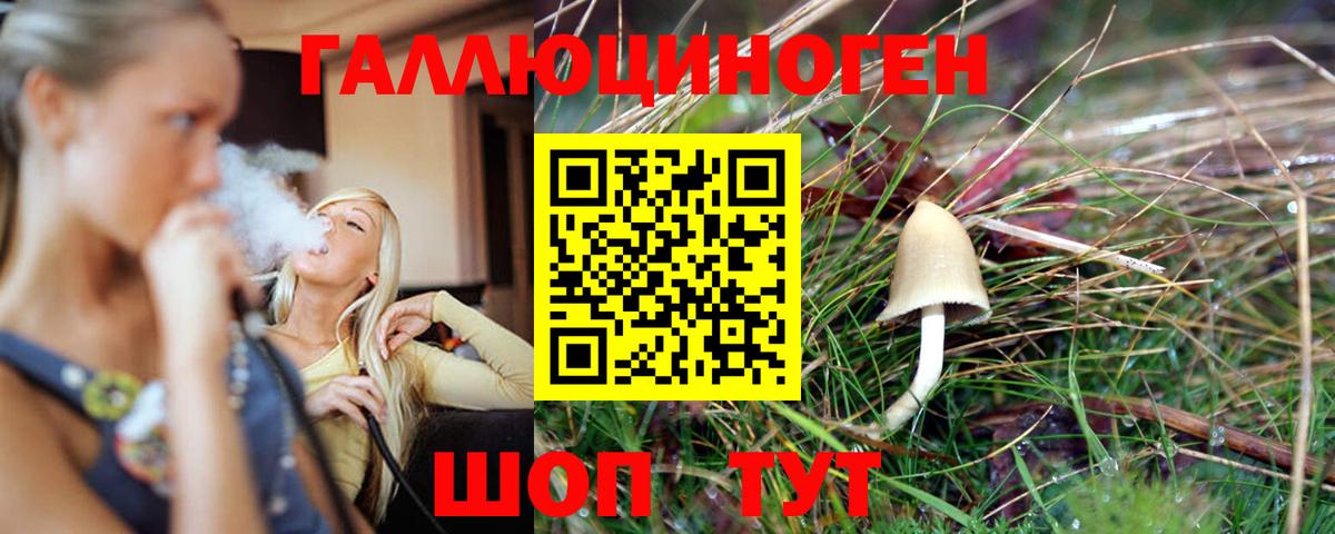 Заводоуковск  Псилоцибиновые грибы GOLDEN TEACHER  Вход с VPN  что такое наркотик  Галлюциногенные грибы Magic Shrooms 